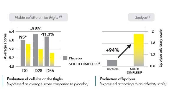 SOD B Dimpless-en - Therascience