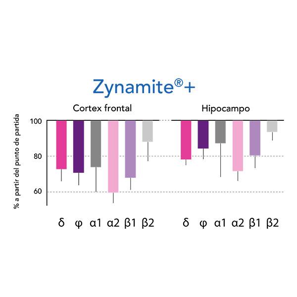 zynamite